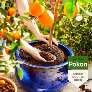 Pokon Bio Mediterrane Pflanzerde - 30L